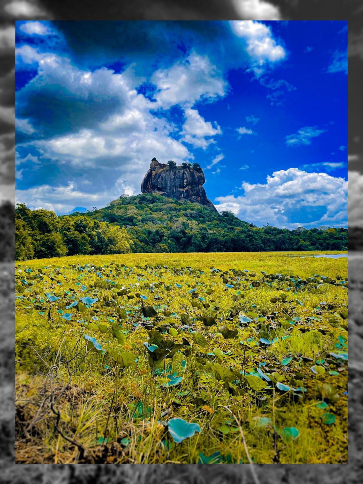 The Lotus Villa Sigiriya Dış mekan fotoğraf