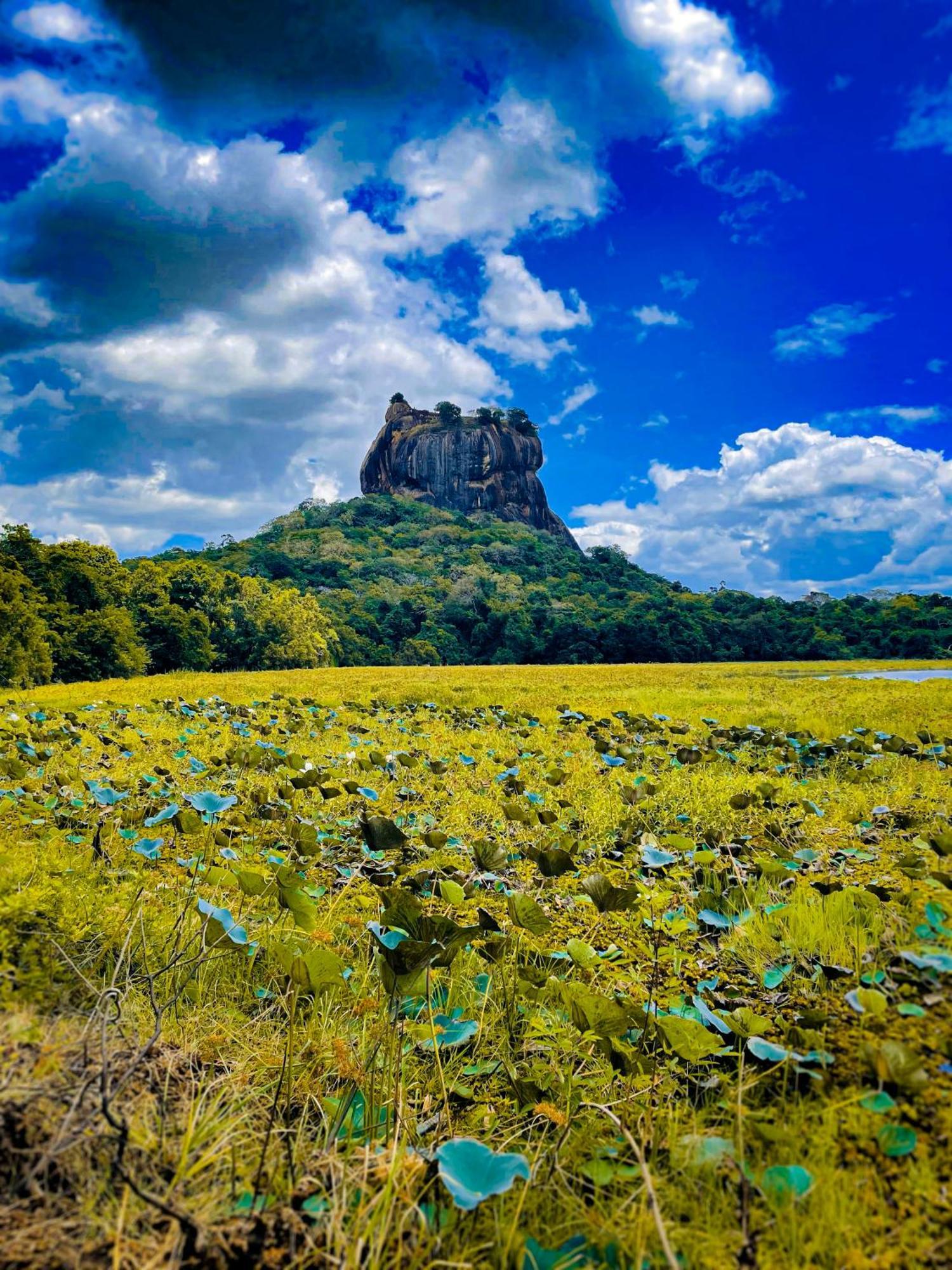 The Lotus Villa Sigiriya Dış mekan fotoğraf
